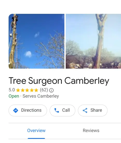 tree surgeon camberley - camberley tree surgeons