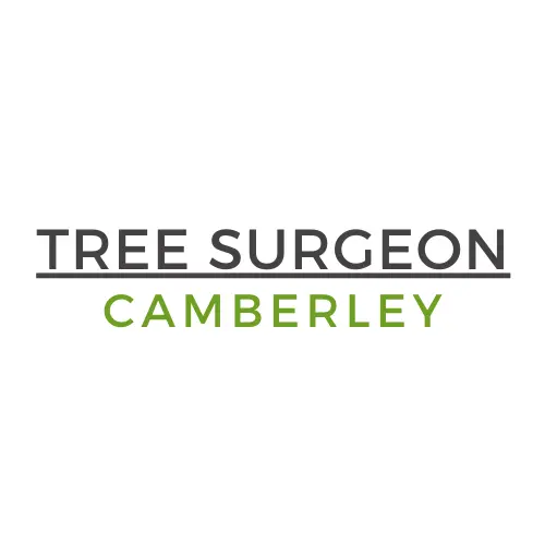 tree surgeon camberley - camberley tree surgeons